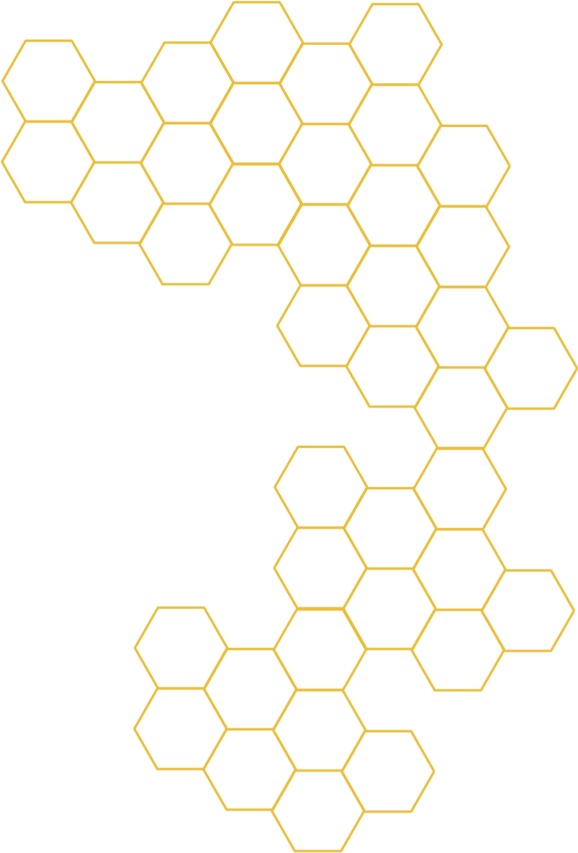 Bee Honeycomb Abstract Pattern